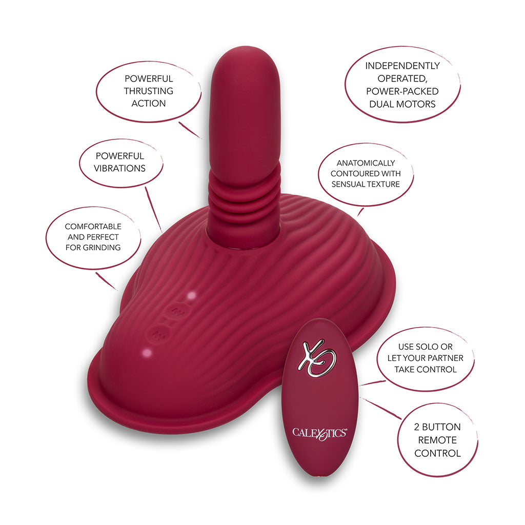 Viva la Vulva! Thrust & Grind