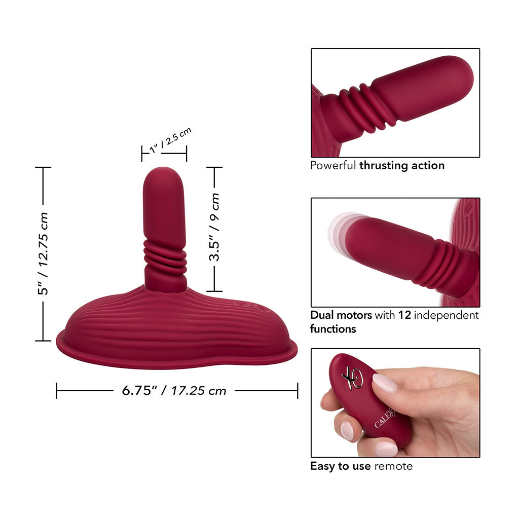 Viva la Vulva! Thrust & Grind - ticklekitty.com Viva la Vulva! Thrust & Grind - ticklekitty.com