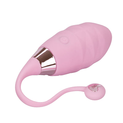 Amour Remote Control Clitoral Bullet