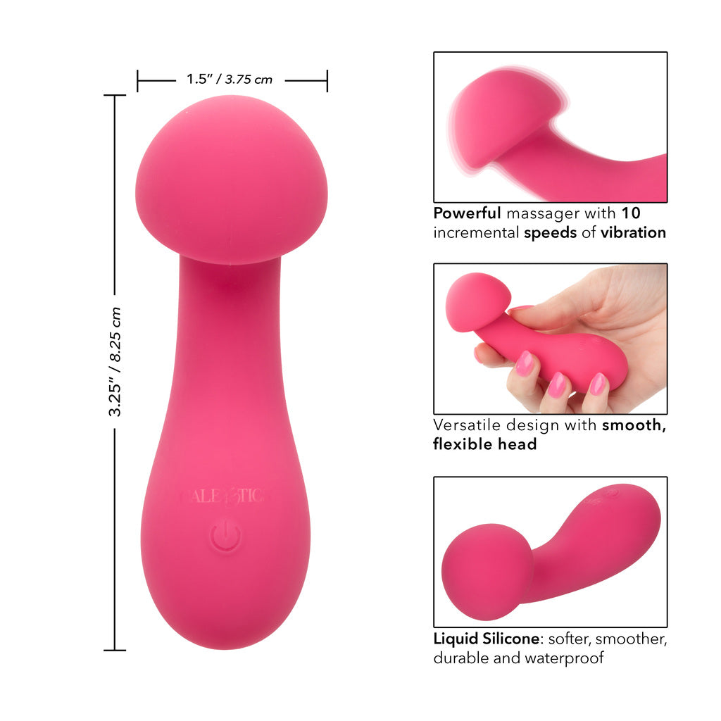 Mushroom Pixie Pleaser